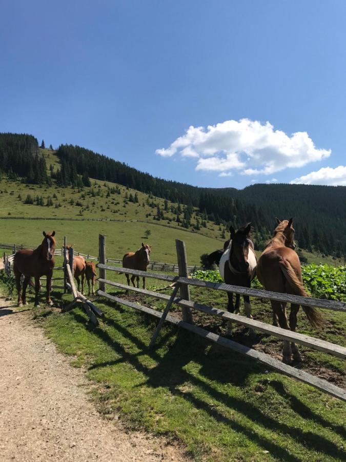 Вілла Софі Верховина Екстер'єр фото